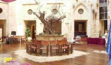olive-tree-hotel-jerusalem-jerusalem_290620101521430522